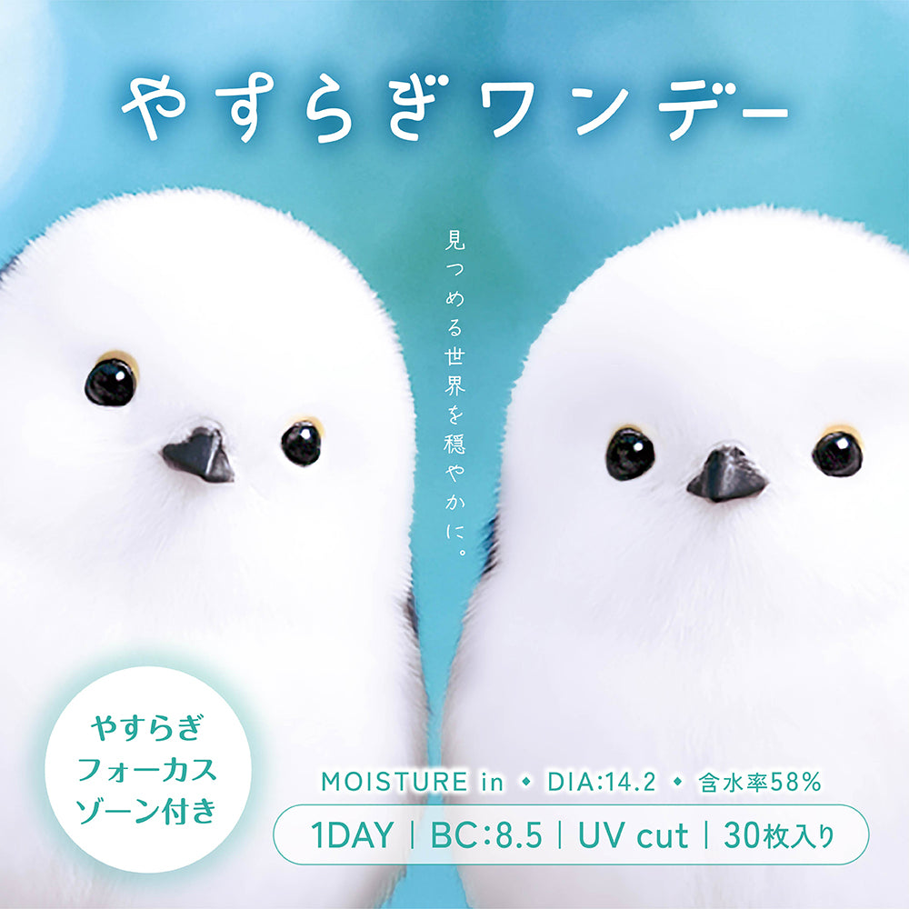 やすらぎワンデー