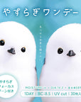 やすらぎワンデー